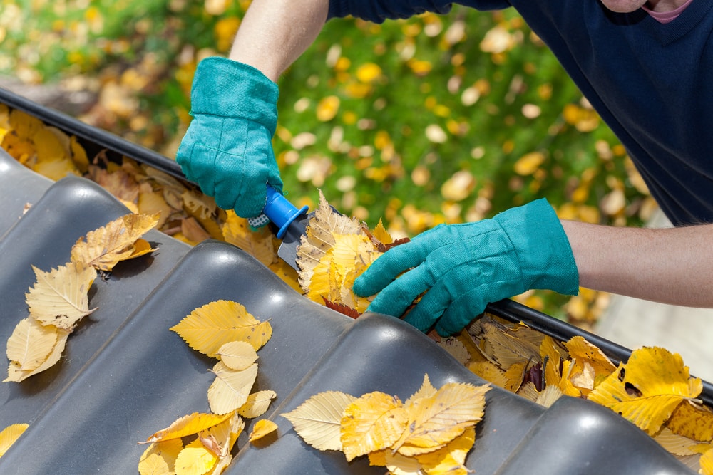 Gloved hands cleaning yellow leaves out of gutters